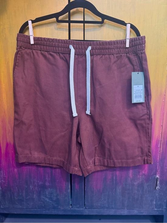 Goodfellow & Co Other - Goodfellow brand Men's Casual Rusty Brown Drawstring Shorts